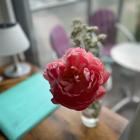 Aviator Am Airport Berlin Flughafen Ber Fahrstuhl Kueche *