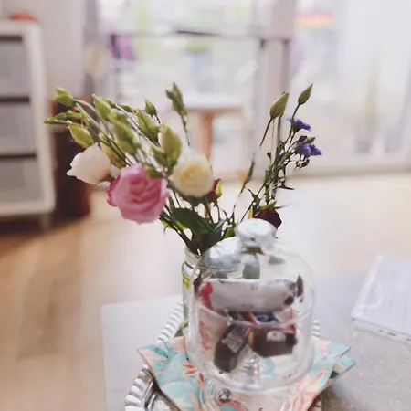 Aviator Am Airport Berlin Flughafen Ber Fahrstuhl Kueche שונפלד